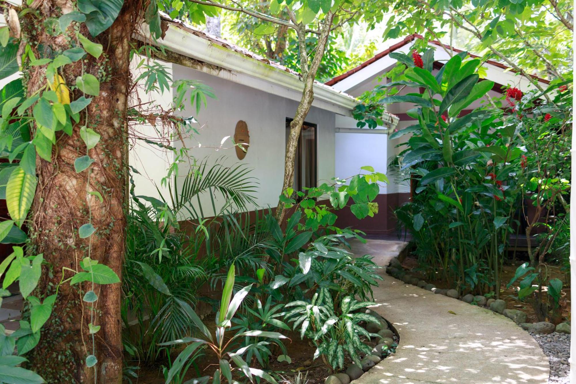Bambutel Cocles Hotel Puerto Viejo de Talamanca Luaran gambar