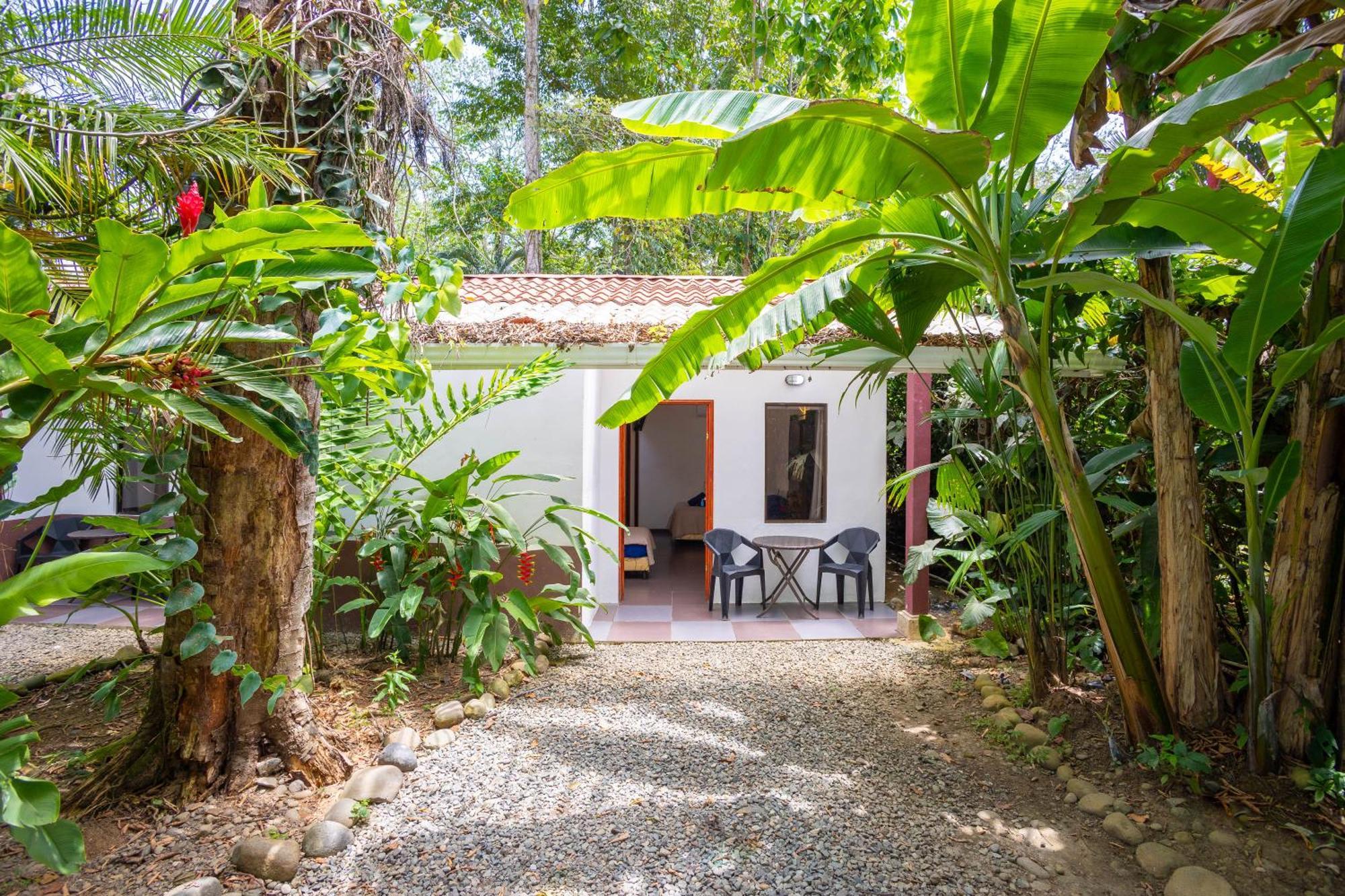 Bambutel Cocles Hotel Puerto Viejo de Talamanca Luaran gambar